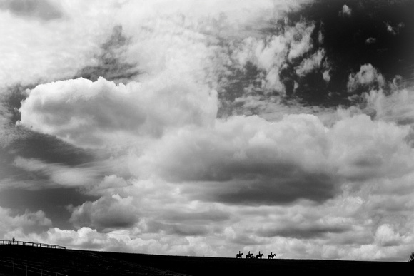 four Riders Big sky