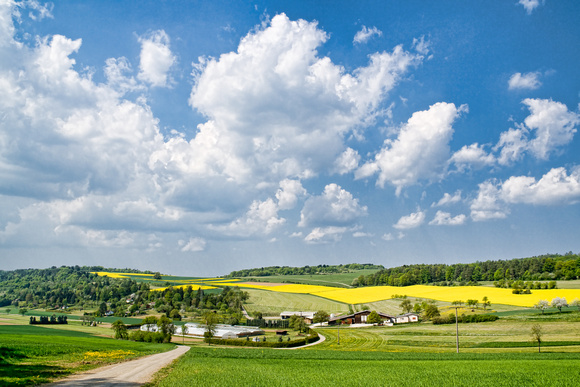 Baden-Wurttemberg Farm